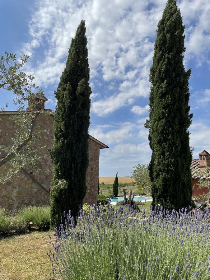 Poggio Ai Gelsi Villa Pienza Dış mekan fotoğraf