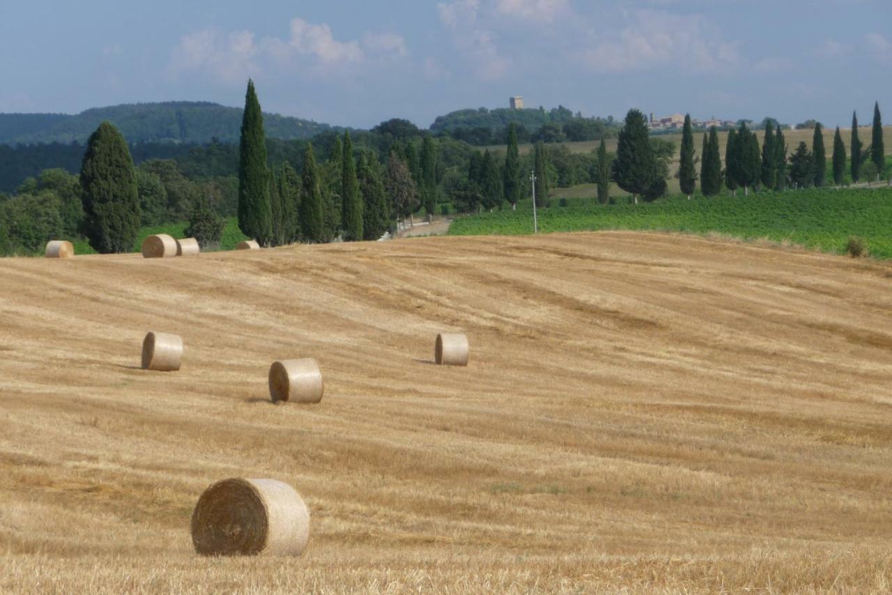 Poggio Ai Gelsi Villa Pienza Dış mekan fotoğraf