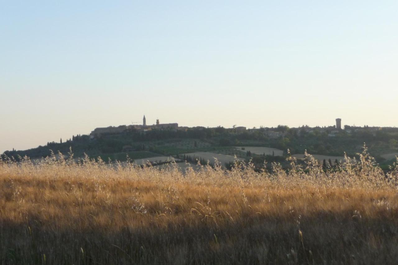Poggio Ai Gelsi Villa Pienza Dış mekan fotoğraf